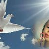user5461270054293