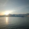 mrnkdj