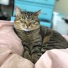 tater_sue