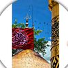 inshara223