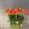 emilykgd