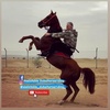 alalistable_dubaihorseriding_