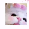 raizelymae