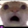 blurry_ow