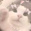 raiiisy_