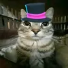 itz_.m4thh