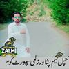 syednadeemshah27