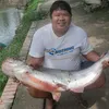hung_hoang46