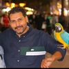 m.elshafey.offcial