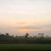ngochien2447