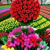 uservr3q9c6be8