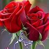 mhend3
