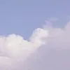 useruut8shrvk4