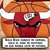 roverto23