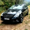 gasimgasimov3