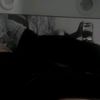 zary_113