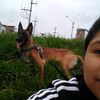 elena14.3