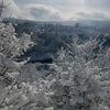 raminibrahimov7