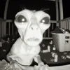 ollie_is_cute12