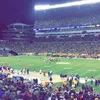 steelersfan3943