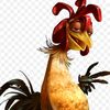 chicken_joe.69