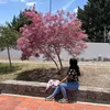 ♡Nayeli♡