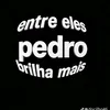 pedrinzneditz