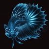 betta_rd_leni