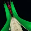 mahmoudmatad_or31