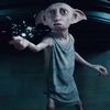 catastrophic_rat_child