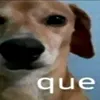usuario_de_krack