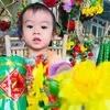 baoboi080318