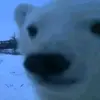 aleksiar4nch
