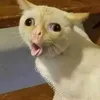 jiiimz6