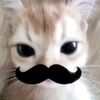 url0veydovey_