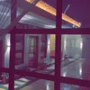 wj_wu