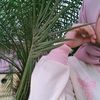 nurhadisetiana