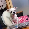 iiiiiiiiii_145