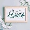 .ahmedsalah95