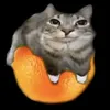userr3nyds2tzd