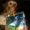 monkey.monkey..monkey