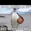 bobthefrog28