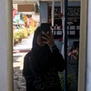 syazwani_yxw