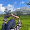 fadenda