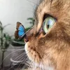 dyicwyc2pnjz
