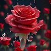 nafeesa819