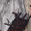 carlinhoxavier