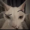 wawybuh