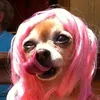 lululopezmorel