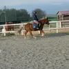 www.tiktok.sandra.com75